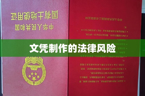 陈巴尔虎旗文凭制作的法律风险